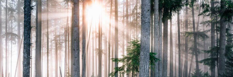 Marketer sollten die EU-DSGVO nicht nur als Schreckgespenst sehen – die neue Verordnung kann auch eine Chance für das Marketing sein. Marketer sollten die EU-DSGVO nicht nur als Schreckgespenst sehen – die neue Verordnung kann auch eine Chance für das Marketing sein.