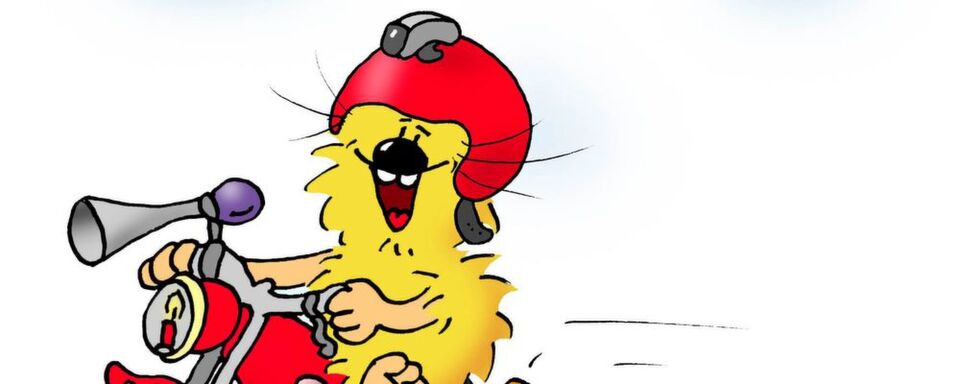 So sieht die Karikaturistin die Dashcam-Problematik. Am 15. Mai entscheidet der BGH in einem Grundsatzurteil ob Kamerabilder als Beweismittel zugelassen sind oder nicht. So sieht die Karikaturistin die Dashcam-Problematik. Am 15. Mai entscheidet der BGH in einem Grundsatzurteil ob Kamerabilder als Beweismittel zugelassen sind oder nicht.