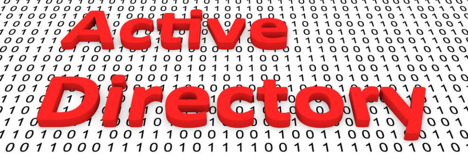 Wer ein Domänennetzwerk mit Active Directory aufbauen möchte, sollte sich im Vorfeld konkrete Gedanken machen. Wer ein Domänennetzwerk mit Active Directory aufbauen möchte, sollte sich im Vorfeld konkrete Gedanken machen.