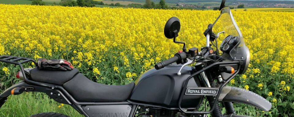 Ein Bike im Rapsfeld: Royal Enfield Himalayan. Ein Bike im Rapsfeld: Royal Enfield Himalayan.