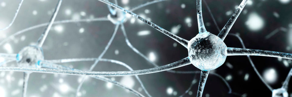 Das Open Source Deep Learning Framework Caffe zeichnet sich durch seine Schnelligkeit aus. Das Open Source Deep Learning Framework Caffe zeichnet sich durch seine Schnelligkeit aus.