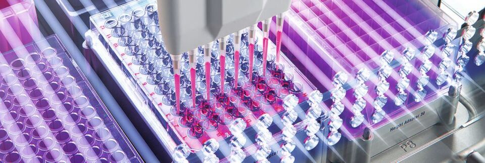 Abb.1: Die Liquid Handling Station kann mit Ein- oder Mehrkanalmodulen ausgestattet werden. Abb.1: Die Liquid Handling Station kann mit Ein- oder Mehrkanalmodulen ausgestattet werden.