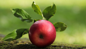 Welche Maßnahmen sorgen für die Attraktivität eines Unternehmens? Welche Maßnahmen sorgen für die Attraktivität eines Unternehmens?