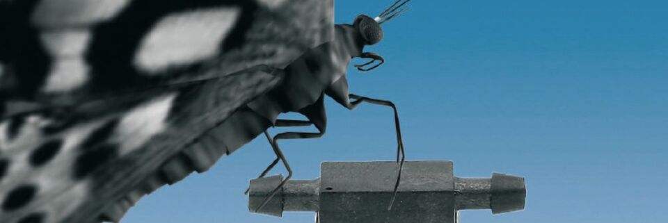 Die Differenzdrucksensoren im Standard SOIC-Gehäuse sind mit horizontalen (Bild) oder mit vertikalen Stutzen erhältlich. Die Differenzdrucksensoren im Standard SOIC-Gehäuse sind mit horizontalen (Bild) oder mit vertikalen Stutzen erhältlich.