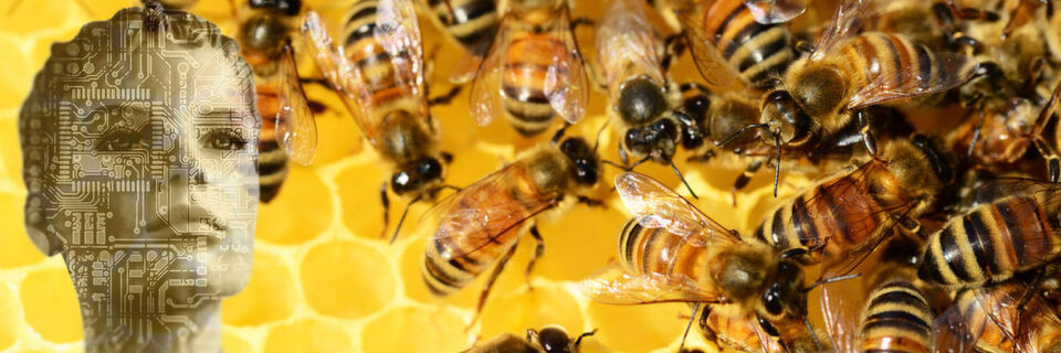 Security-Experten finden immer neue Einsatzgebiete für künstliche Intelligenz im Bereich der Erkennung und Abwehr von Cyber-Attacken, wie zum Beispiel bei speziellen Honeypots. Security-Experten finden immer neue Einsatzgebiete für künstliche Intelligenz im Bereich der Erkennung und Abwehr von Cyber-Attacken, wie zum Beispiel bei speziellen Honeypots.