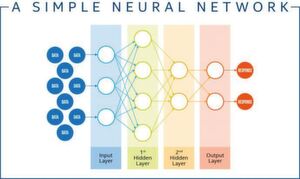 Schematische Darstellung eines neuronalen Netzes: die Kreise stellen Neuronen, die Pfeile Verbindungen dar. Schematische Darstellung eines neuronalen Netzes: die Kreise stellen Neuronen, die Pfeile Verbindungen dar.