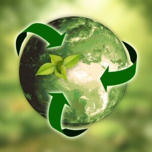 In its latest report the Nova-Institut discerns a strong growth in bio-based building blocks and moderate growth in bio-based polymers. In its latest report the Nova-Institut discerns a strong growth in bio-based building blocks and moderate growth in bio-based polymers.