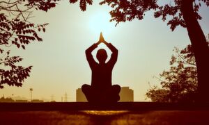 Beruf/Arbeit, Sinn/Kultur, Körper/Gesundheit und Familie/Beziehung – für all diese Bereiche brauchen wir klare Ziele, wenn wir ein Leben in Balance führen möchten. Beruf/Arbeit, Sinn/Kultur, Körper/Gesundheit und Familie/Beziehung – für all diese Bereiche brauchen wir klare Ziele, wenn wir ein Leben in Balance führen möchten.