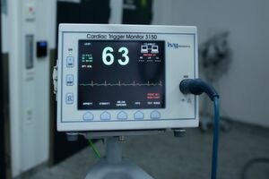 Die Überwachung zahlreicher Vitalparameter wäre ohne software undenkbar. Die Überwachung zahlreicher Vitalparameter wäre ohne software undenkbar.