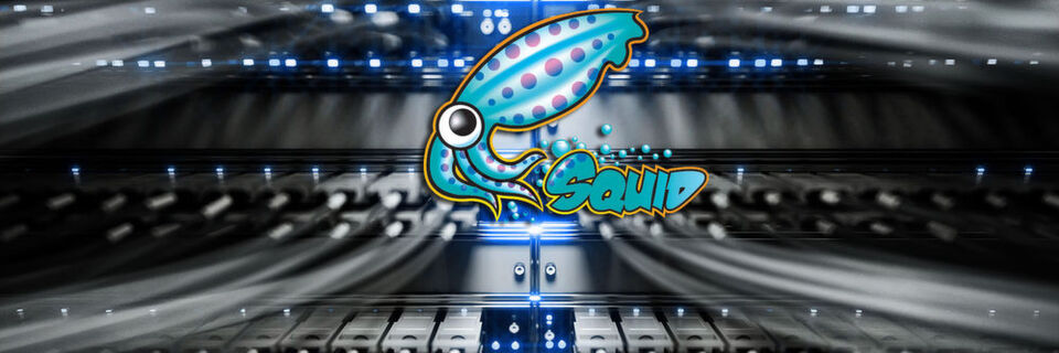 Squid ist ein Open-Source-Proxy auf Linux-Basis der auch für große Netzwerke geeignet ist. Squid ist ein Open-Source-Proxy auf Linux-Basis der auch für große Netzwerke geeignet ist.