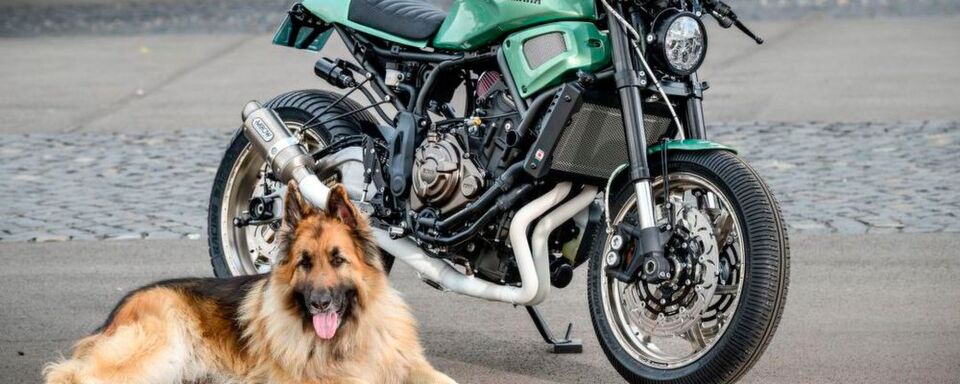 Yamaha-Klein hat eine XSR 700, für das legendäre Punk’s Peak Rennen auf dem Wheels and Waves Festival in Frankreich, umgebaut. Yamaha-Klein hat eine XSR 700, für das legendäre Punk’s Peak Rennen auf dem Wheels and Waves Festival in Frankreich, umgebaut.
