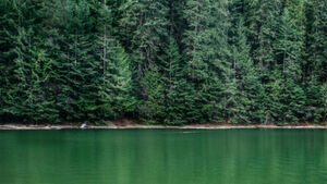 "HPE GreenLake Hybrid Cloud" richtet sich an Unternehmen, die ein hybrides Cloud-Modell fahren wollen. "HPE GreenLake Hybrid Cloud" richtet sich an Unternehmen, die ein hybrides Cloud-Modell fahren wollen.