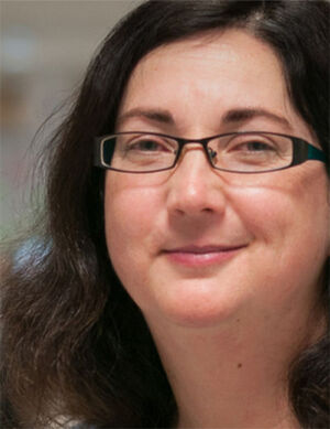 Sarah Wells: „Ich habe nie zuvor Entwickler gesehen, die glücklich über die Stabilität ihrer Code-Base waren. Nun kenne ich so etwas.“ Sarah Wells: „Ich habe nie zuvor Entwickler gesehen, die glücklich über die Stabilität ihrer Code-Base waren. Nun kenne ich so etwas.“