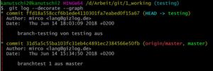 HEAD zeigt auf den Branch „testing“, der „master“-Branch liegt einen Commit zurück. HEAD zeigt auf den Branch „testing“, der „master“-Branch liegt einen Commit zurück.