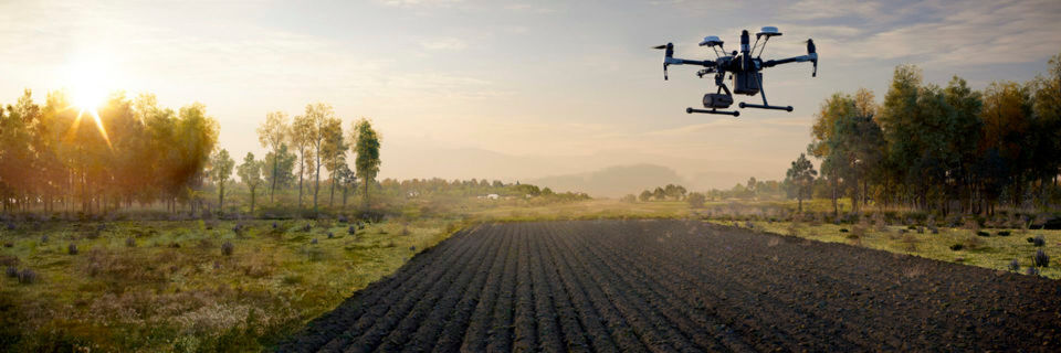 Eine DJI-Drohne fliegt über Farmland. Eine DJI-Drohne fliegt über Farmland.
