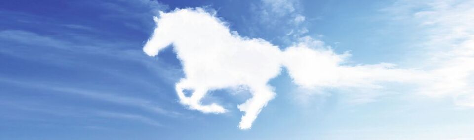 Mit einer Multi-Cloud-Strategie will NetApp allen anderen Storage-Firmen davongaloppieren. Mit einer Multi-Cloud-Strategie will NetApp allen anderen Storage-Firmen davongaloppieren.