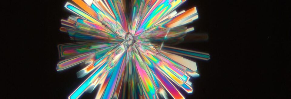 The photograph shows honey crystals under polarized light. It was taken with ZEISS Axio Imager.Z1. Some food components are birefringent, including starch, fats, plant cell walls, muscle fibres and many flavouring ingredients. Crystalline materials of this kind can be imaged particularly well using polarization contrast. The photograph shows honey crystals under polarized light. It was taken with ZEISS Axio Imager.Z1. Some food components are birefringent, including starch, fats, plant cell walls, muscle fibres and many flavouring ingredients. Crystalline materials of this kind can be imaged particularly well using polarization contrast.