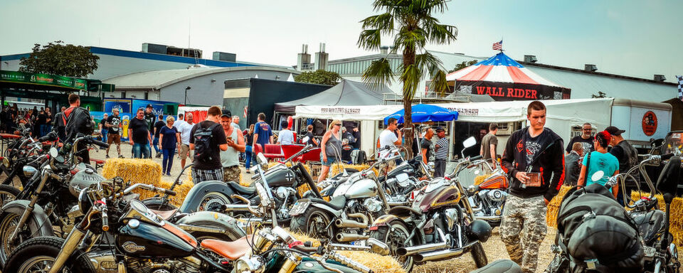 Die Ride-in-Bikeshow-Area war ein wahrer Augenschmaus für die Fans des Customizing. Die Ride-in-Bikeshow-Area war ein wahrer Augenschmaus für die Fans des Customizing.