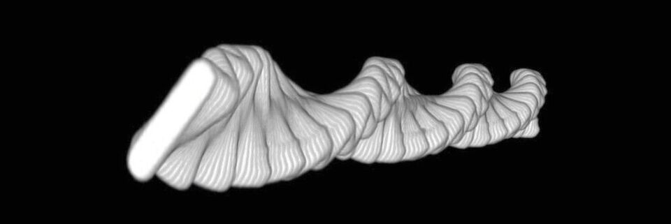 Eine 3D-Spirale, die durch die Kombination von experimentellen Bildern des Rührfischs über einen Zeitraum von 1 s beim Schweben entsteht. Sie zeigt die Dynamik des Schwebeverhaltens, die sich aus niederfrequentem Drehen und hochfrequentem Schwingen zusammensetzt. Eine 3D-Spirale, die durch die Kombination von experimentellen Bildern des Rührfischs über einen Zeitraum von 1 s beim Schweben entsteht. Sie zeigt die Dynamik des Schwebeverhaltens, die sich aus niederfrequentem Drehen und hochfrequentem Schwingen zusammensetzt.