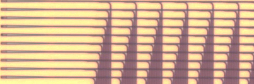 Wissenschaftler des National Institute of Standards and Technology (NIST) haben einen Silizium-Chip gefertigt, der optische Signale über ein hirnähnliches Raster verteilt. Wissenschaftler des National Institute of Standards and Technology (NIST) haben einen Silizium-Chip gefertigt, der optische Signale über ein hirnähnliches Raster verteilt.