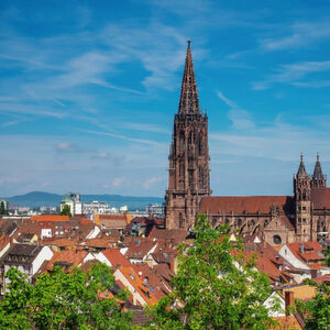 Blick auf den Freiburger Dom. Blick auf den Freiburger Dom.
