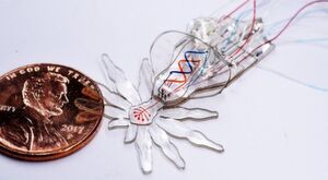 Ein neues, MORPH genanntes Fertigungsverfahren ermöglicht die Herstellung von wenigen Millimeter großen Softrobotern mit Merkmalen im Mikrometermaßstab, wie hier am Beispiel einer kleinen Softroboter-Pfauenspinne mit beweglichen Körperteilen sowie farbigen Augen und Bauch. Ein neues, MORPH genanntes Fertigungsverfahren ermöglicht die Herstellung von wenigen Millimeter großen Softrobotern mit Merkmalen im Mikrometermaßstab, wie hier am Beispiel einer kleinen Softroboter-Pfauenspinne mit beweglichen Körperteilen sowie farbigen Augen und Bauch.