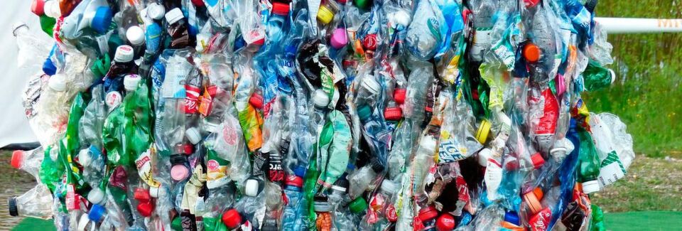Biokunststoffe gelten als nachhaltige Alternative zu Kunststoffen aus Erdöl. Doch lassen sie sich auch recyceln? (Symbolbild) Biokunststoffe gelten als nachhaltige Alternative zu Kunststoffen aus Erdöl. Doch lassen sie sich auch recyceln? (Symbolbild)