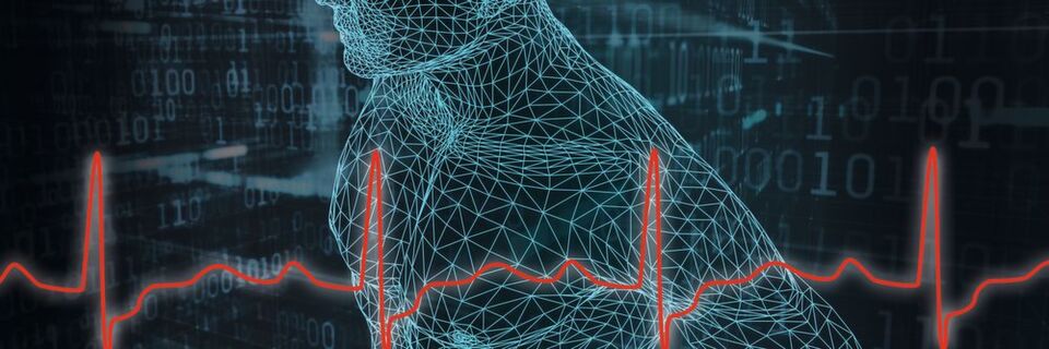 Die Digitalisierung revolutioniert die Medizin. Aber Augmented Reality, Internet of Things, Künstliche Intelligenz und Co. gibt es nicht zum Nulltarif. Die Digitalisierung revolutioniert die Medizin. Aber Augmented Reality, Internet of Things, Künstliche Intelligenz und Co. gibt es nicht zum Nulltarif.