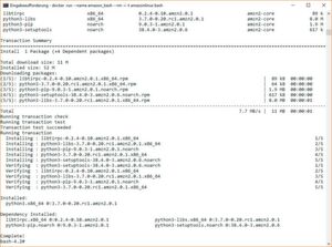 Installation von Boto3über den Bash-Befehl: docker run --name amazon_bash --rm -i -t amazonlinux bash Installation von Boto3über den Bash-Befehl: docker run --name amazon_bash --rm -i -t amazonlinux bash