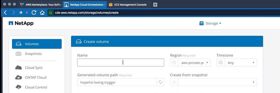 Netapp-Erfolg durch Cloud-Filemanagement mit Ontap-Technologie – hier die Benutzerschnittstelle von AWS Cloud Volumes. Netapp-Erfolg durch Cloud-Filemanagement mit Ontap-Technologie – hier die Benutzerschnittstelle von AWS Cloud Volumes.