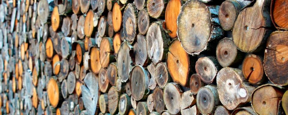 Holz ist ein beliebtes Diebesgut. Holz ist ein beliebtes Diebesgut.