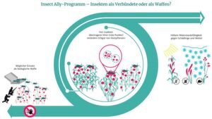 Forschungsprogramm mit Potenzial für militärischen Einsatz: Wissenschaftler befürchten, dass das US-amerikanische Programm andere Länder dazu verleiten könnte, selbst Biowaffen zu entwickeln. Forschungsprogramm mit Potenzial für militärischen Einsatz: Wissenschaftler befürchten, dass das US-amerikanische Programm andere Länder dazu verleiten könnte, selbst Biowaffen zu entwickeln.