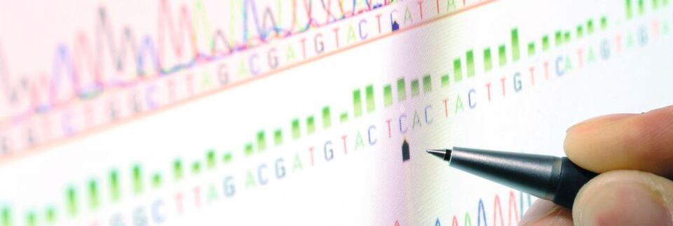 Abb. 1: In Zeiten von Big Data sind viele in den Lebenswissenschaften erhobene Daten wie Sequenzinformationen kaum noch „per Hand“ auszuwerten. Hochkomplexe Softwareprogramme helfen, sind jedoch nicht leicht zu bedienen. Abb. 1: In Zeiten von Big Data sind viele in den Lebenswissenschaften erhobene Daten wie Sequenzinformationen kaum noch „per Hand“ auszuwerten. Hochkomplexe Softwareprogramme helfen, sind jedoch nicht leicht zu bedienen.
