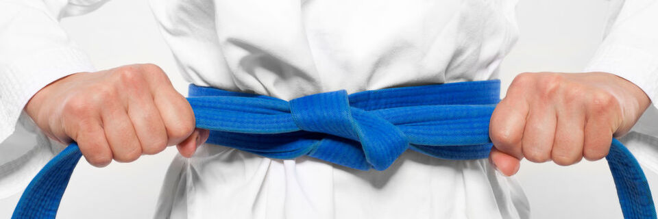 Vier „Gürtel“ gibt es im Dojo-Trainingsprogramm von Extreme Networks. Vier „Gürtel“ gibt es im Dojo-Trainingsprogramm von Extreme Networks.