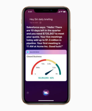 Eine Salesforce-App präsentiert ein Diagramm und den erklärenden Text, den Siri vorliest. Eine Salesforce-App präsentiert ein Diagramm und den erklärenden Text, den Siri vorliest.