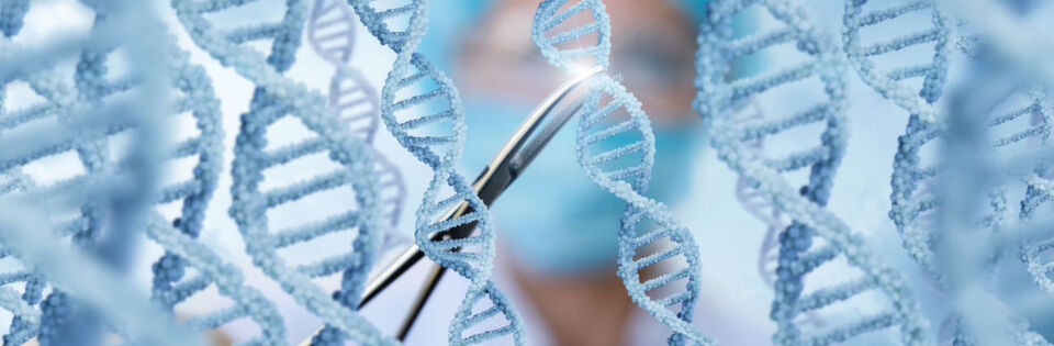 Die so genannte Genschere CRISPR-Cas9 weckt in der Gentherapie große Hoffnungen, Erbkrankheiten auf molekularbiologischer Ebene behandeln zu können. (Symbolbild) Die so genannte Genschere CRISPR-Cas9 weckt in der Gentherapie große Hoffnungen, Erbkrankheiten auf molekularbiologischer Ebene behandeln zu können. (Symbolbild)