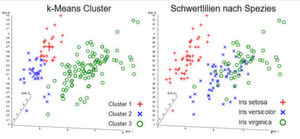 Demonstration eines Problemfalls: Ein k-Means-Ergebnis und reale Schwertlilien-Spezies (rechts) im Iris-Flower-Datensatz, visualisiert mit der Software ELKI. Die Clusterzentren sind durch größere, blassere Symbole gekennzeichnet. Gruppen in den Daten können sich, wie im Schwertlilien-Beispiel,, überlappen und nahtlos ineinander übergehen. In einem solchen Fall kann k-Means diese Gruppen nicht zuverlässig trennen, da die Daten nicht dem verwendeten Cluster-Modell folgen. Demonstration eines Problemfalls: Ein k-Means-Ergebnis und reale Schwertlilien-Spezies (rechts) im Iris-Flower-Datensatz, visualisiert mit der Software ELKI. Die Clusterzentren sind durch größere, blassere Symbole gekennzeichnet. Gruppen in den Daten können sich, wie im Schwertlilien-Beispiel,, überlappen und nahtlos ineinander übergehen. In einem solchen Fall kann k-Means diese Gruppen nicht zuverlässig trennen, da die Daten nicht dem verwendeten Cluster-Modell folgen.