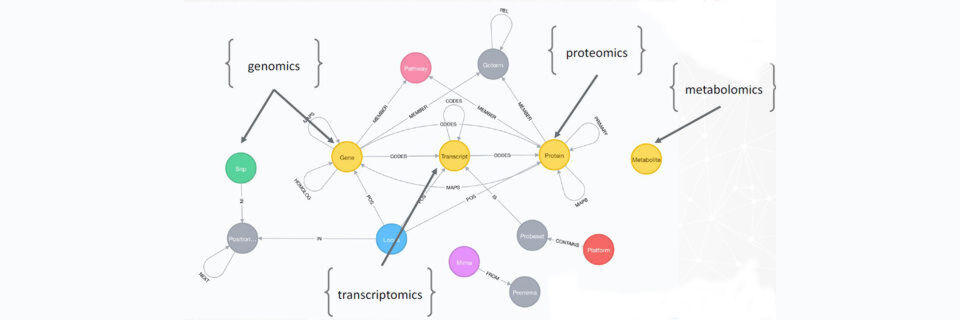 Dieses von Knowing Health mit Neo4j entwickeltes Graphmodell der Zelle wird vom Deutschen Zentrum für Diabetes für seine Forschung genutzt. Dieses von Knowing Health mit Neo4j entwickeltes Graphmodell der Zelle wird vom Deutschen Zentrum für Diabetes für seine Forschung genutzt.