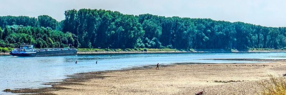 Das Niedrigwasser im Rhein macht vielen Industrieunternehmen zu schaffen. Die BASF muss in Ludwigshafen ihre TDI-Produktion aufgrund fehlender Rohstoffe herunterfahren. Das Niedrigwasser im Rhein macht vielen Industrieunternehmen zu schaffen. Die BASF muss in Ludwigshafen ihre TDI-Produktion aufgrund fehlender Rohstoffe herunterfahren.