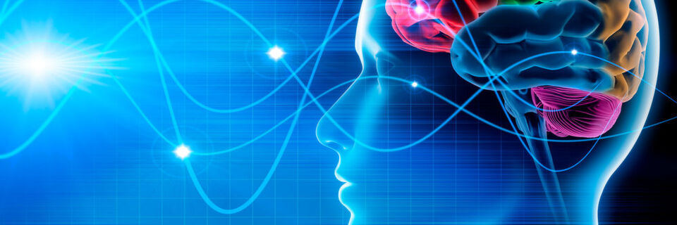 Marktführer im Gesundheitswesen sowie FDA-Behörden weisen darauf hin, dass Digitale Zwillinge dazu beitragen, medizinische Innovationen und behördliche Zulassungen zu beschleunigen. Marktführer im Gesundheitswesen sowie FDA-Behörden weisen darauf hin, dass Digitale Zwillinge dazu beitragen, medizinische Innovationen und behördliche Zulassungen zu beschleunigen.