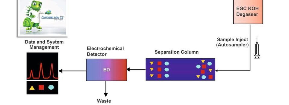 Fig 1 Schematic setup of electrolytic Eluent Generation (RFIC); the KOH eluent is produced electrolytically in the eluent generator cartridge (EGC). Fig 1 Schematic setup of electrolytic Eluent Generation (RFIC); the KOH eluent is produced electrolytically in the eluent generator cartridge (EGC).