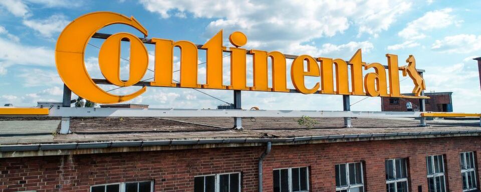 Um eine Alternative zu tropischen Kautschukbäumen zu haben, forscht Continental an Kautschuk aus Löwenzahn. Um eine Alternative zu tropischen Kautschukbäumen zu haben, forscht Continental an Kautschuk aus Löwenzahn.
