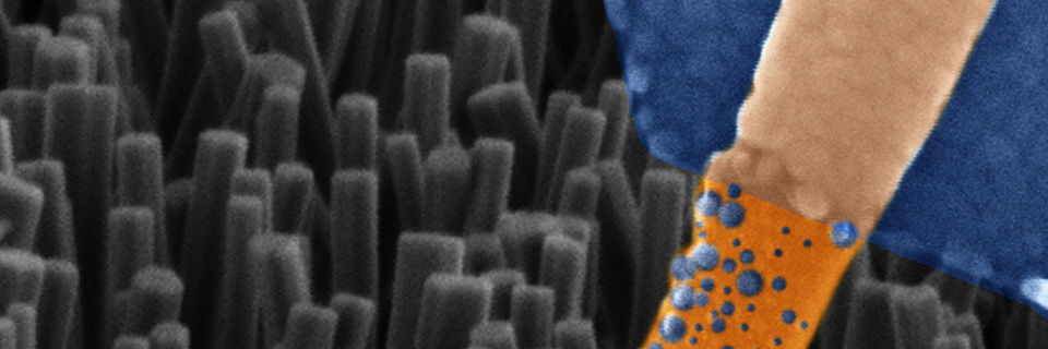 Elektronenmikroskopische Aufnahme eines einzelnen Nanodraht-Memristors. Elektronenmikroskopische Aufnahme eines einzelnen Nanodraht-Memristors.