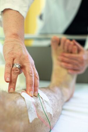 Eine durch Eisenmangel bedingte Fehlfunktion der Mitochondrien liegt dem Restless Legs Syndrom zugrunde. Eine durch Eisenmangel bedingte Fehlfunktion der Mitochondrien liegt dem Restless Legs Syndrom zugrunde.