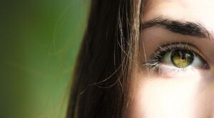 Die visuelle Aufmerksamkeit von Betrachtern ist bei Webseiten oben links am größten und unten rechts am geringsten. Die visuelle Aufmerksamkeit von Betrachtern ist bei Webseiten oben links am größten und unten rechts am geringsten.