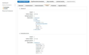 Das Durchsuchen des ES-Clusters funktioniert erst im realen Umfeld, nicht im Testszenario. Das Durchsuchen des ES-Clusters funktioniert erst im realen Umfeld, nicht im Testszenario.
