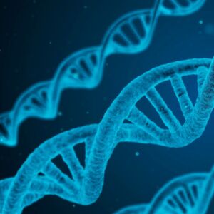 The global distribution agreement between Merck and Roche includes biochemical reagents and Kapa Biosystems portfolios. The global distribution agreement between Merck and Roche includes biochemical reagents and Kapa Biosystems portfolios.