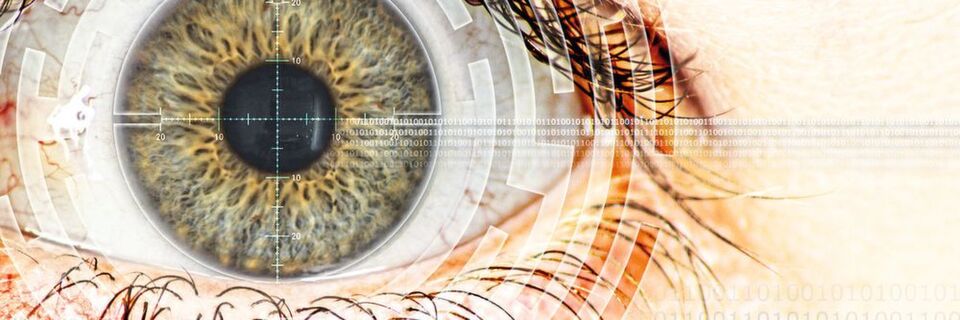 Es kommt immer häufiger vor, dass Regierungen oder ganze Staaten zum Ziel von Cyberkriminalität werden Es kommt immer häufiger vor, dass Regierungen oder ganze Staaten zum Ziel von Cyberkriminalität werden