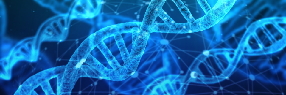 Weil Viren immer raffinierter werden, muss man Malware daran erkennen wo sie sich nicht verändern kann – anhand ihrer DNA. Weil Viren immer raffinierter werden, muss man Malware daran erkennen wo sie sich nicht verändern kann – anhand ihrer DNA.