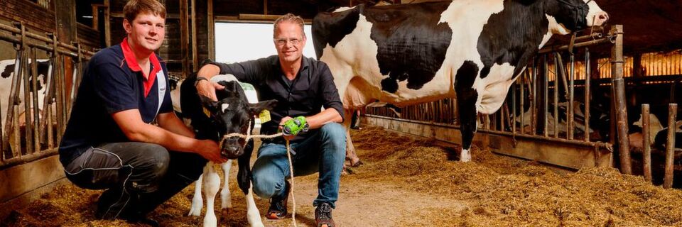 IoT auf dem Land: Das Handy für die Kuh rettet Kälbern das Leben. Phillip Ellerbrock (links) ist Deutschlands erster Landwirt, der die IoT-Technologie Moocall einsetzt. Im Bild mit Vodafone- Firmenkundenchef Alexander Saul (rechts). IoT auf dem Land: Das Handy für die Kuh rettet Kälbern das Leben. Phillip Ellerbrock (links) ist Deutschlands erster Landwirt, der die IoT-Technologie Moocall einsetzt. Im Bild mit Vodafone- Firmenkundenchef Alexander Saul (rechts).